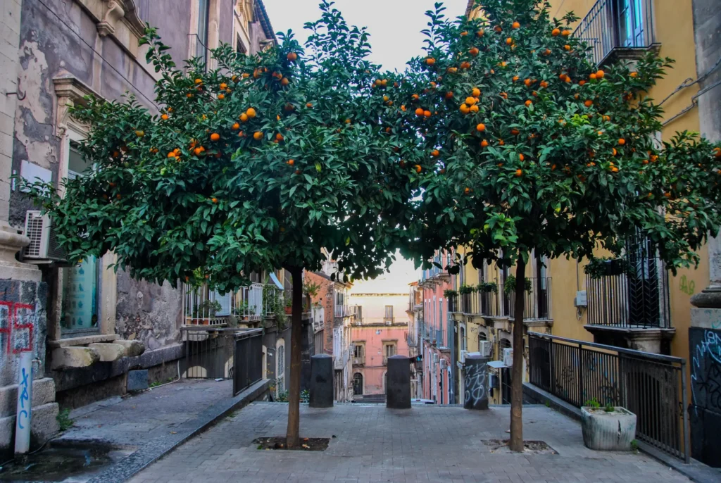 Catania in Sicily